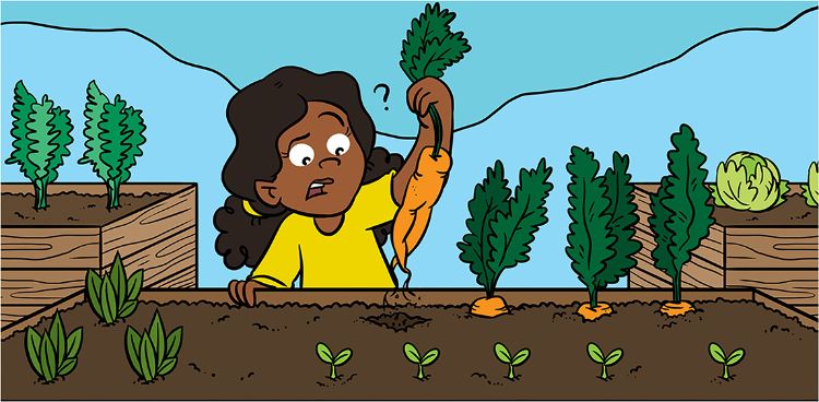A cartoon image of a girl holding up a carrot.