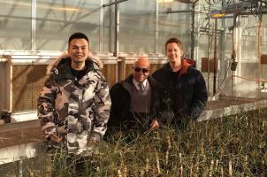 Venu Gangur has created a model that tests the allergenicity of wheat varieties with help from students Haoran Gao and Rick Jorgensen.