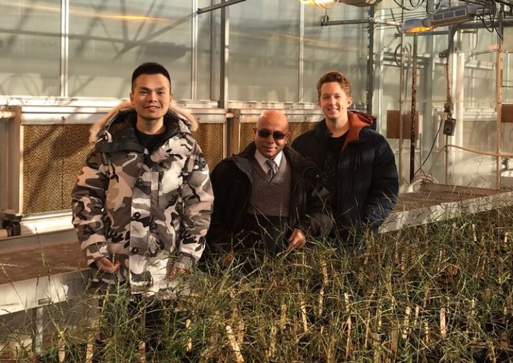 Venu Gangur has created a model that tests the allergenicity of wheat varieties with help from students Haoran Gao and Rick Jorgensen.