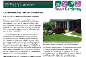 Low maintenance lawns in the Midwest