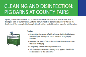 Cleaning and Disinfection: Pig Barns at County Fairs