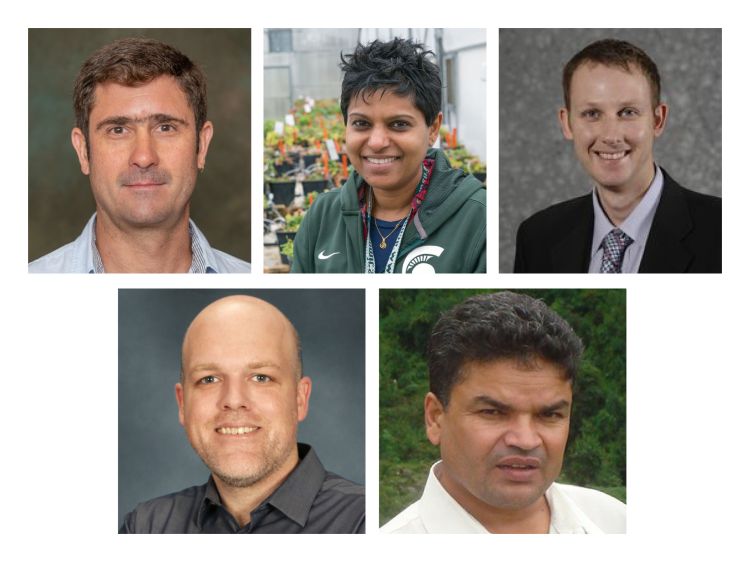 2021 Cohort of Global Scholars, from top left, Cedric Gondro, Cholanni Weebadde, Brent Ross, Dan Chitwood, Ramjee Ghimire.