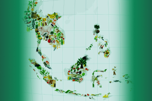 Conference Synthesis on Southeast Asia Food System Seminar