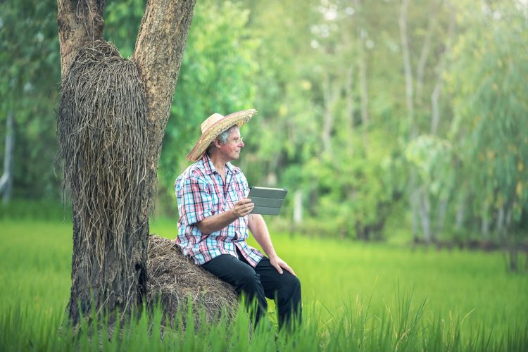 A man sitting on a bale of hay holding an iPad.
