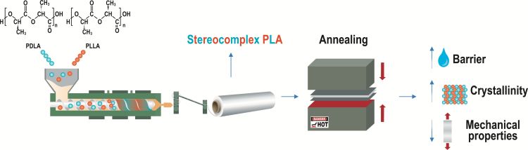 Stereocomplex polylactide (sc-PLA) films were produced without using a masterbatch, including varieties with PLLA/PDLA ratios of 85/15, 70/30, 50/50, and 30/70. Blended and annealed films show a reduced moisture barrier by a factor of 2.5 to 6, depending on their crystallinity and thickness.