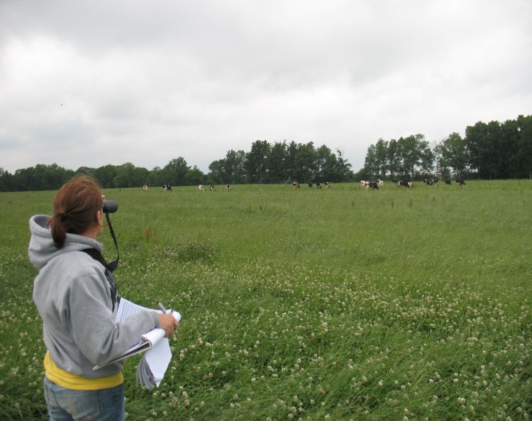 Youth practice science by observing animal behaviors.