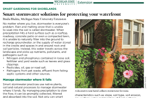 Smart Gardening for Shorelands: Smart Stormwater Solutions for Protecting Your Waterfront