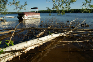 Shoreline and Shallows Conference to focus on habitat improvement for inland lakes