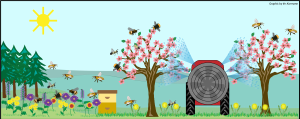 Pollinator Protection for Pesticide Applicators