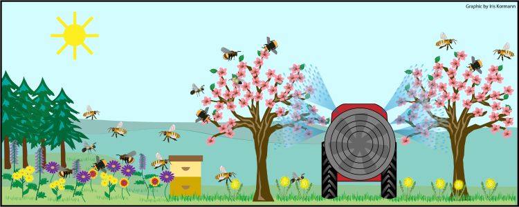 Illustration of a pesticide application in an orchard close to bees.