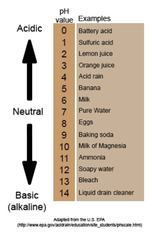 Figure 1. pH scale.