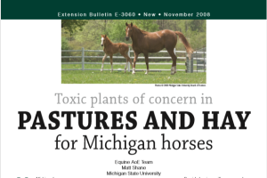 Toxic Plants of Concern in Pastures and Hay for Michigan Horses - Downloadable PDF