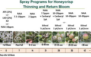 Honeycrisp crop management for 2022