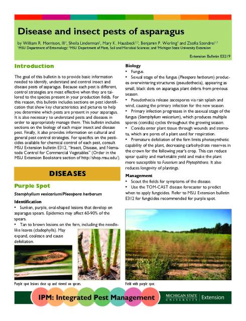 ipm pdf download On the left, ipm related to pdf (each # corresponds to 7 workers.