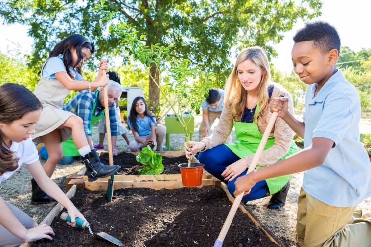 Elementary school students work in raised garden beds with the help of adults.