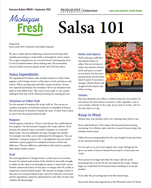 Image of the Salsa 101 document