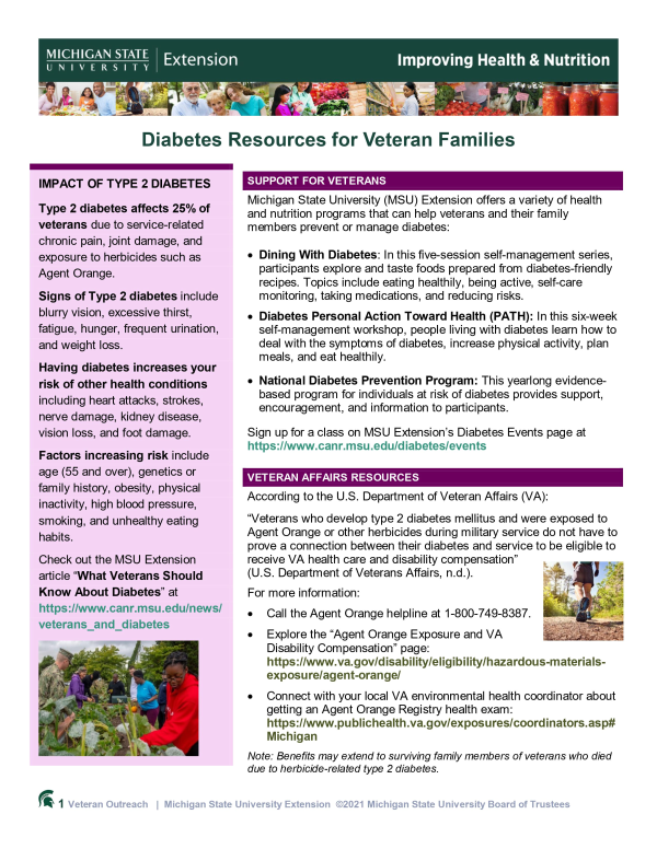 Front page of Diabetes Resources for Veteran Families Tip Sheet