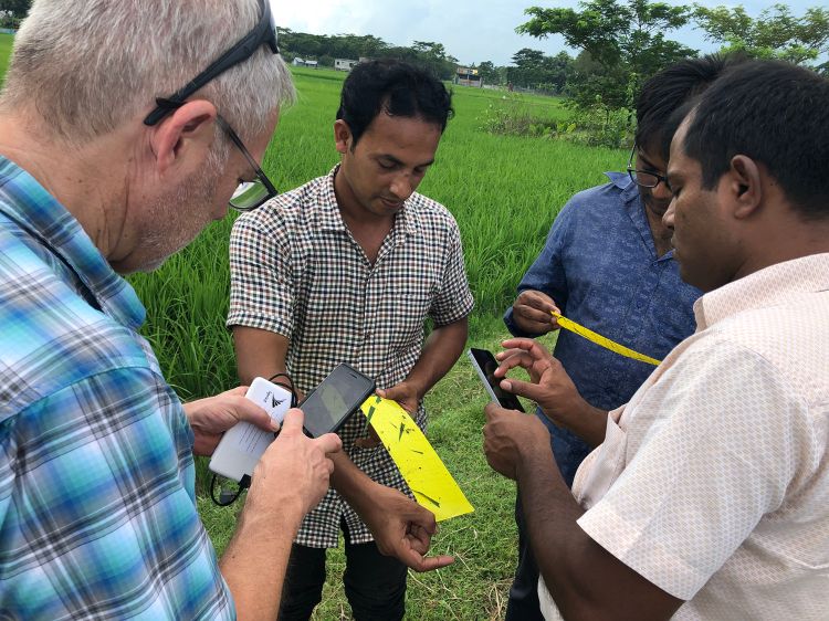 Men looking at bugs from collected grass sample