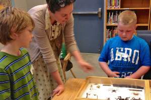 MSU Entomology alumna’s studies led to a career with an international conservation society
