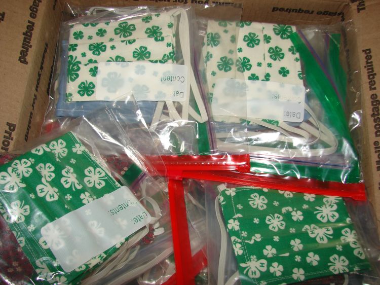 Packaged 4-H masks