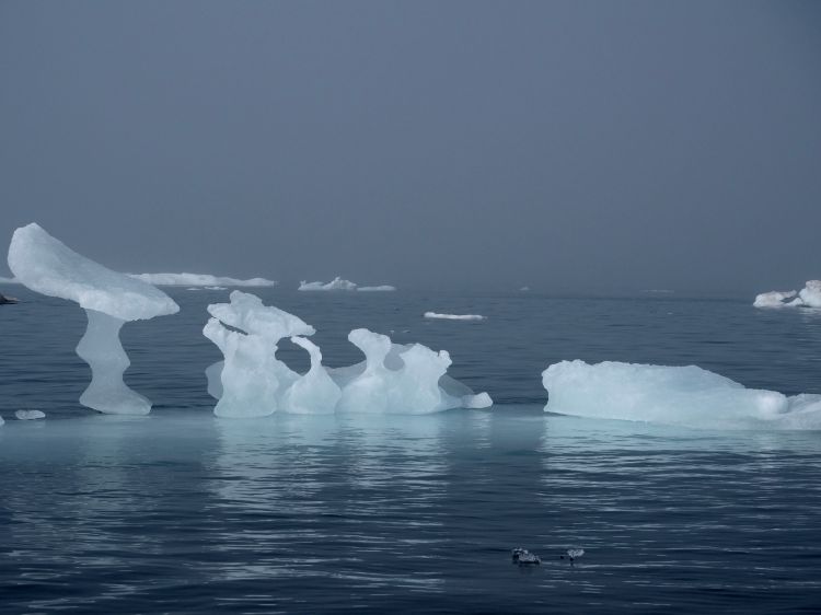 Ice flows in the Arctic