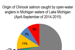 What will the Lake Michigan salmon stocking cut mean for Michigan anglers?