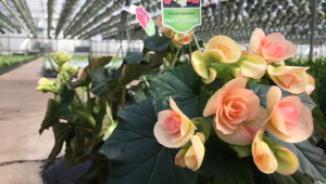 The 2022 Greenhouse Growers Expo education schedule offers something for everyone