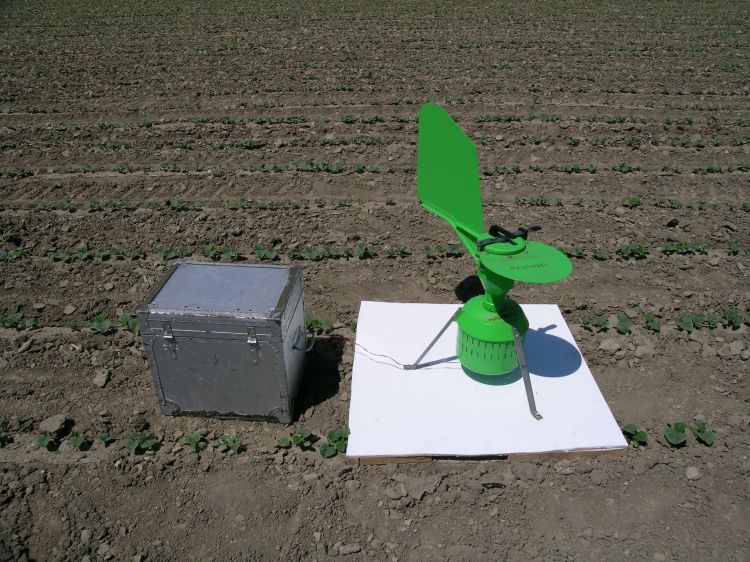 Spore trap in a young cucumber field