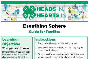 Heads In, Hearts In: Breathing Sphere