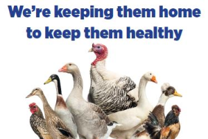 Barn sign: We're keeping them home to keep them healthy
