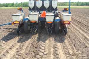When Is The Best Time To Plant Corn In Michigan Msu Extension