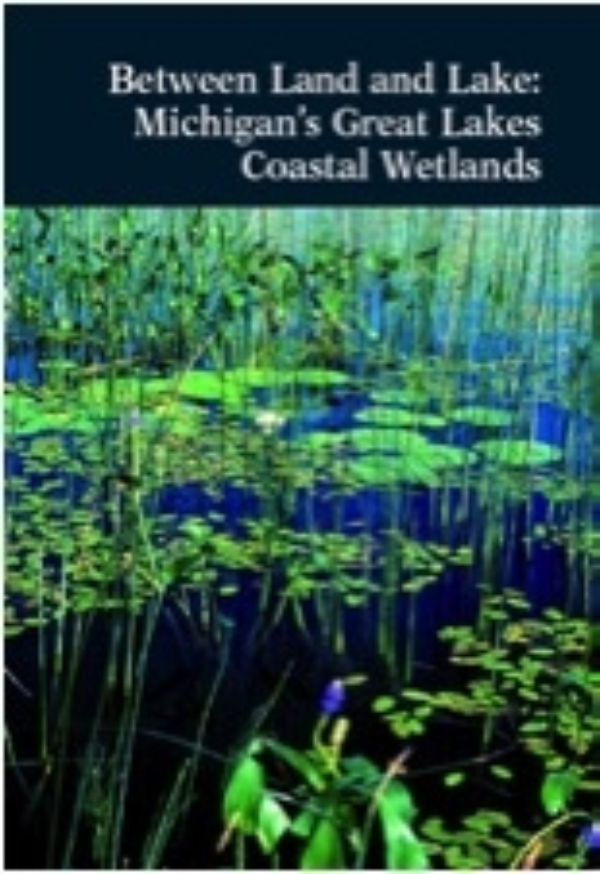 Between Land And Lake Michigan S Great Lakes Coastal Wetlands E2902 Msu Extension