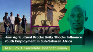 How Agricultural Productivity Shocks Influence Youth Employment in Sub-Saharan Africa