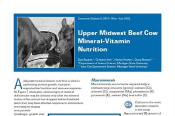 Upper Midwest Beef Cow Mineral-Vitamin Nutrition (E2810) - Beef