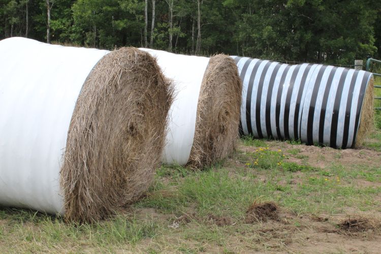 Wrapped hay bales.