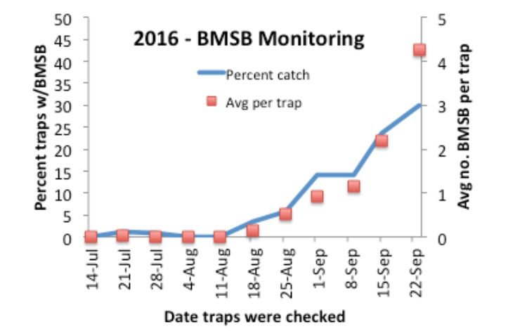 Nymphs and adults caught in baited traps at the edge of fruit and vegetable plantings and a few urban sites in the Lower Peninsula. Line indicates the percent traps that caught any BMSB; squares indicate average number captured per trap in a given week.