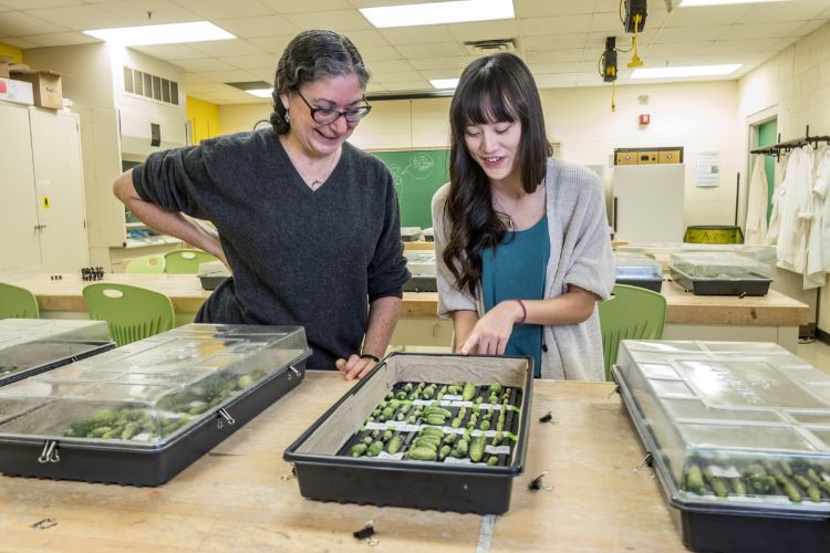 MSU researcher Rebecca Grumet (left) with a student in the lab.