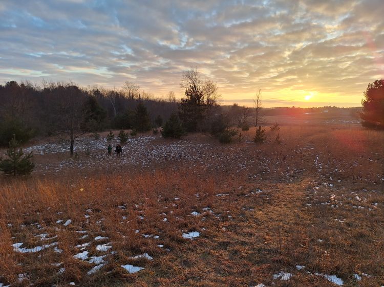 The sun on the horizon in a field with trees and a little snow.