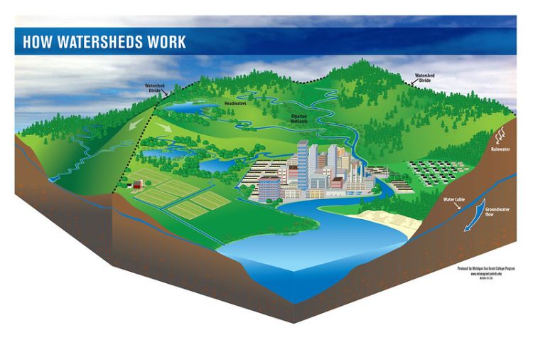 Illustration shows a topographical map identifying the different areas within a watershed. Michigan Sea Grant