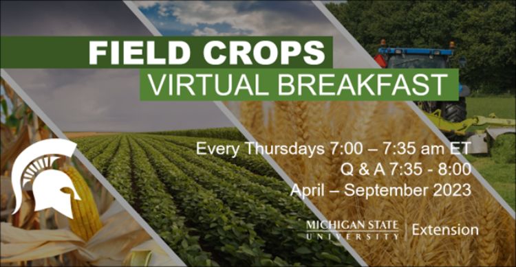 Virtual Breakfast graphic