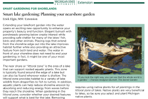 Smart Gardening for Shorelands: Smart Lake Gardening: Planning Your Nearshore Garden