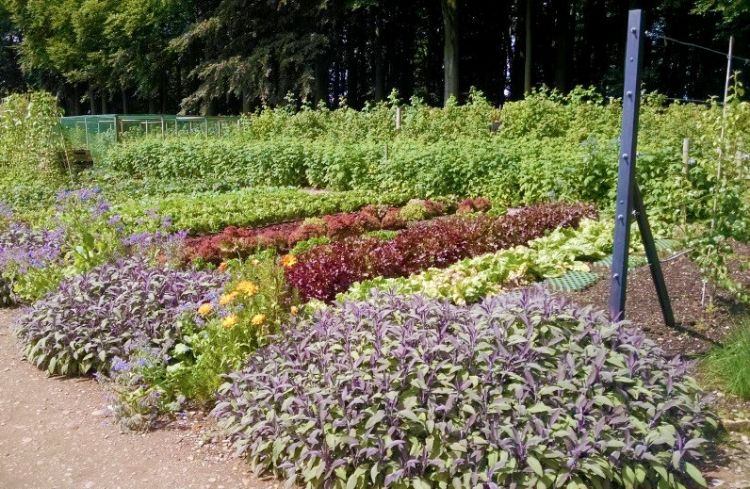 Plan Your Vegetable Garden With Smart Gardening With Vegetables 101 Webinar Gardening In Michigan