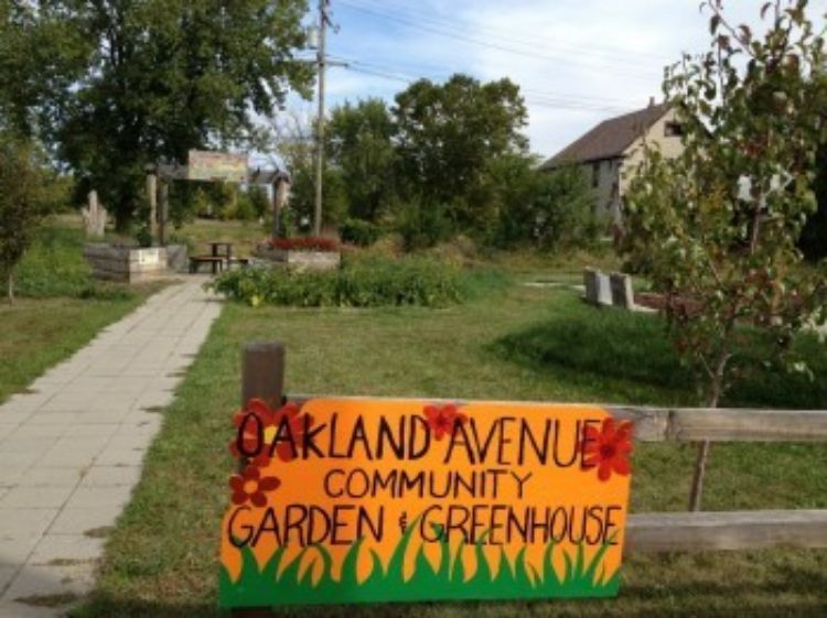 Photo courtesy of the Oakland Avenue Farmers Market Facebook Page.