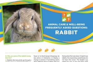4-H Animal Care & Well-Being Poster – Rabbit 4H1699