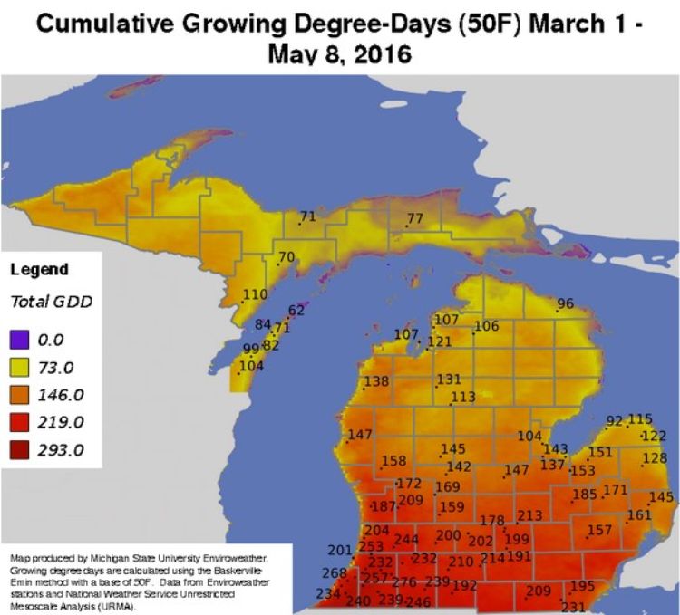 Accumulated degree days (base 50 F) for March 1 through May 8, 2016, using the new format version (2016). 