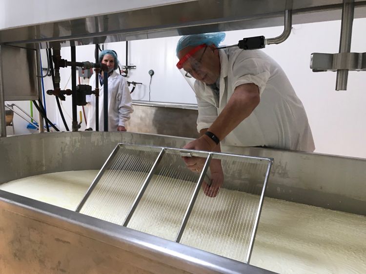 What Does A Cheese Maker Do (including Their Typical Day at Work)