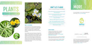RIPPLE invasive aquatic plant brochure