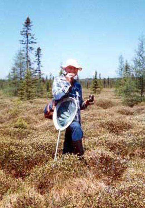 Mo Nielsen in U.P. bog.