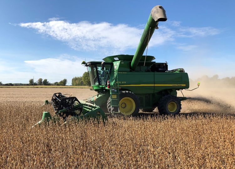 A combine harvesting soybeans.