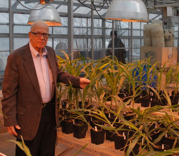 Donald Penner has been researching high fructose corn syrup-based adjuvants hor herbicides since 1980.